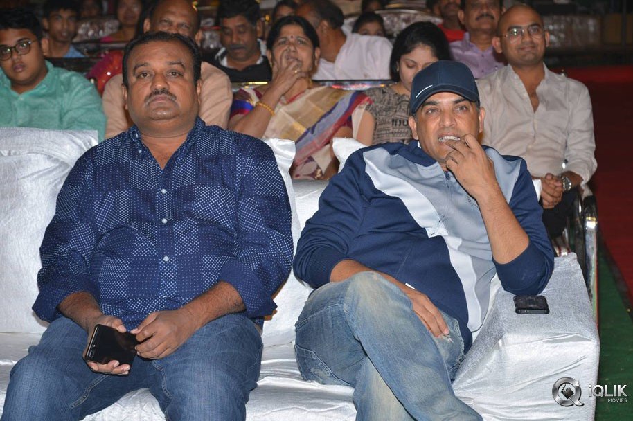 MCA-Movie-Pre-Release-Event-Photos